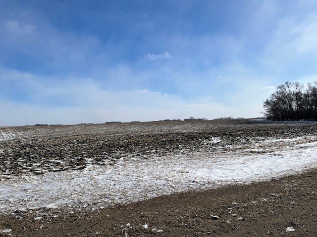 Picture 8
