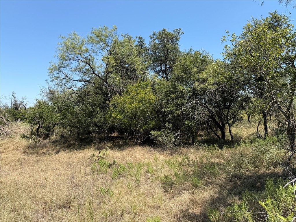 Picture 16
