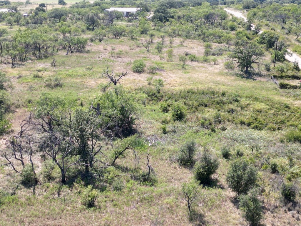 Picture 23
