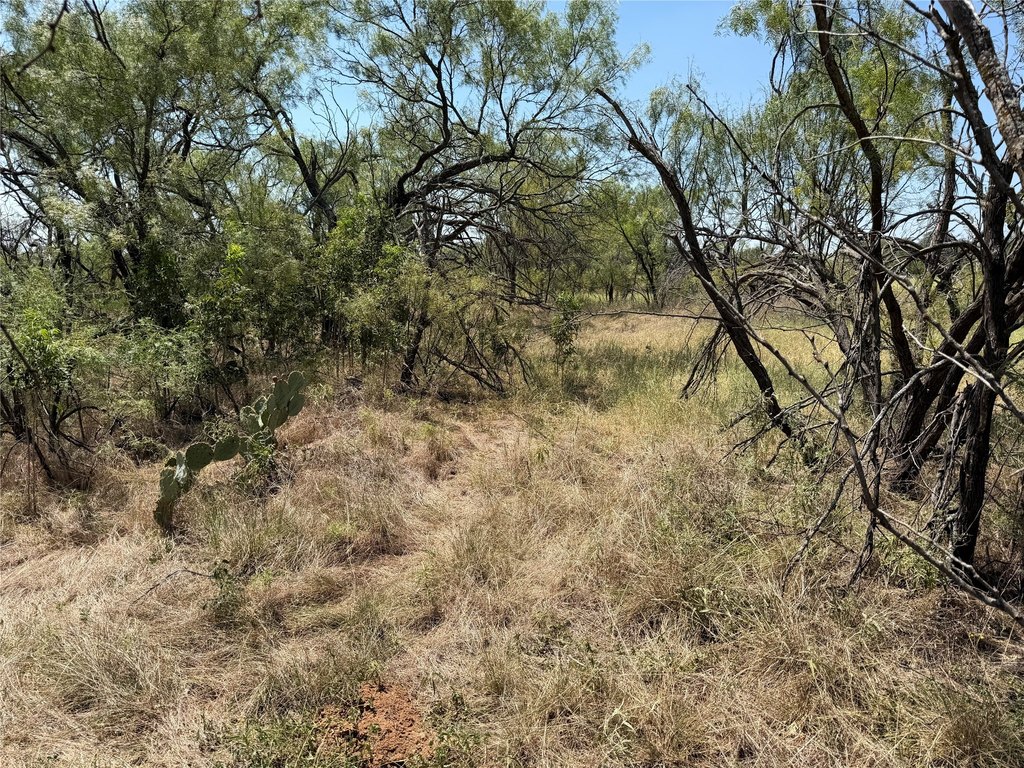 Picture 29