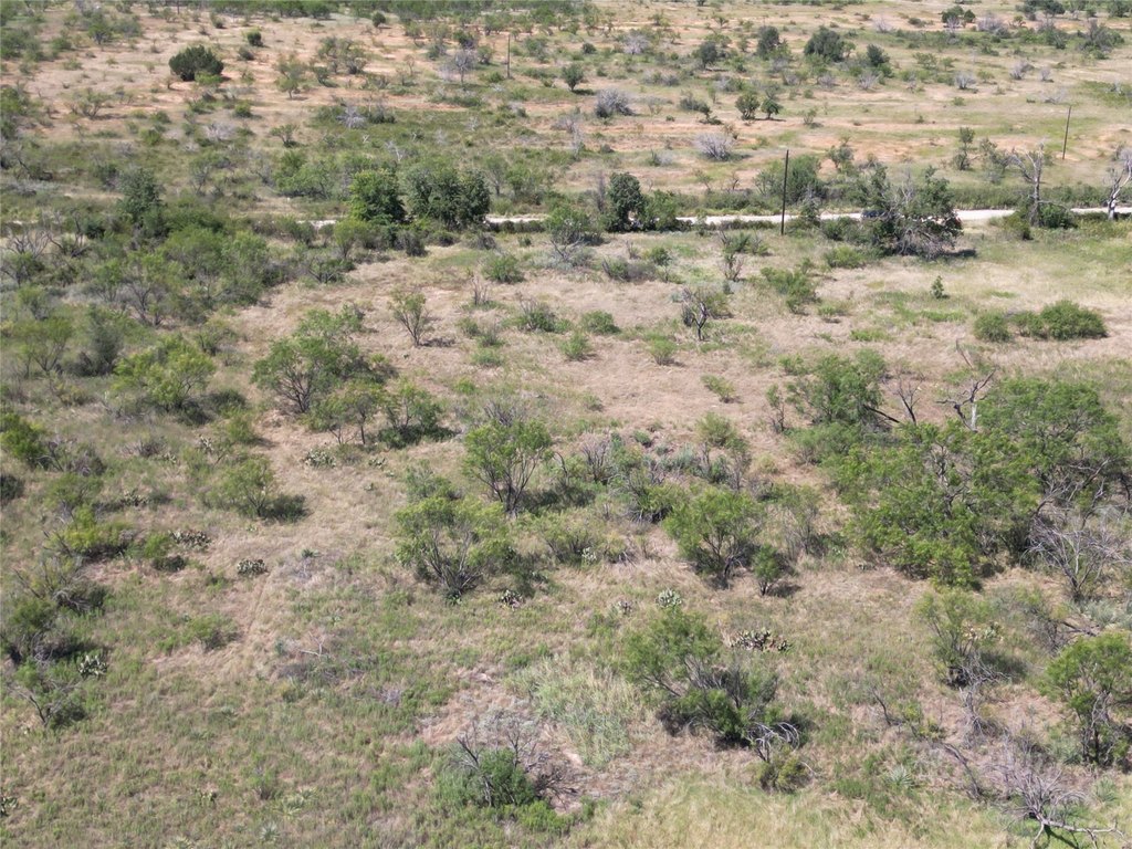 Picture 34