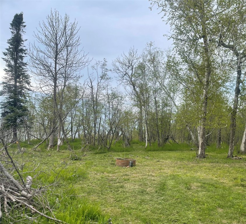 Picture 6