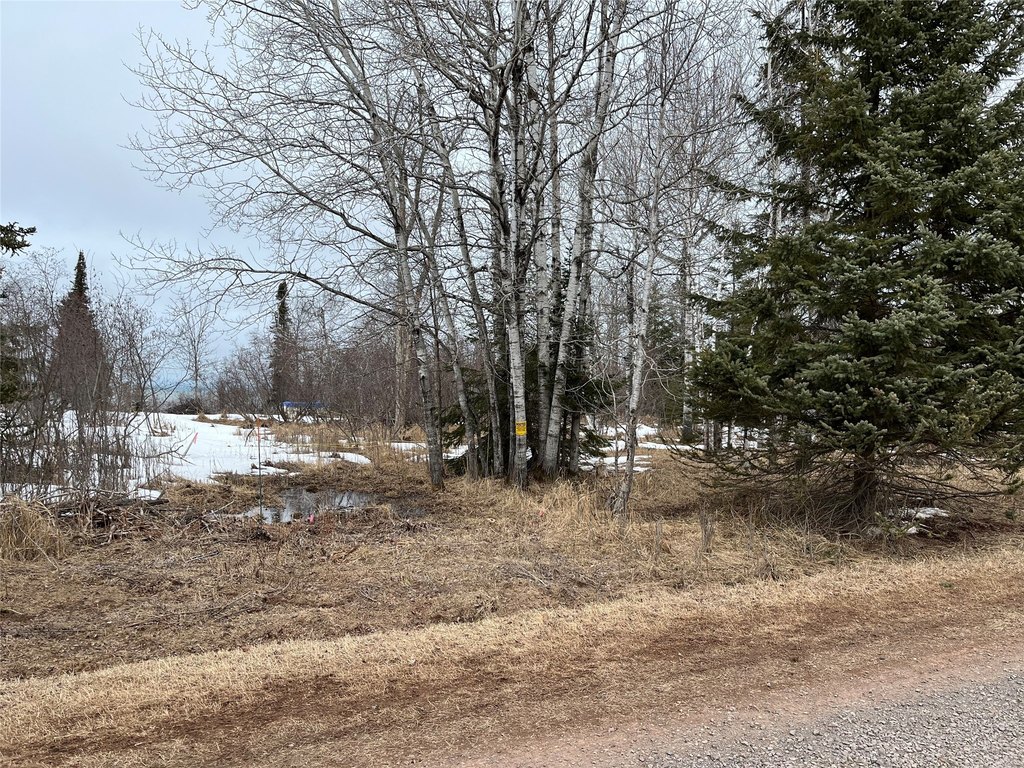 Picture 23
