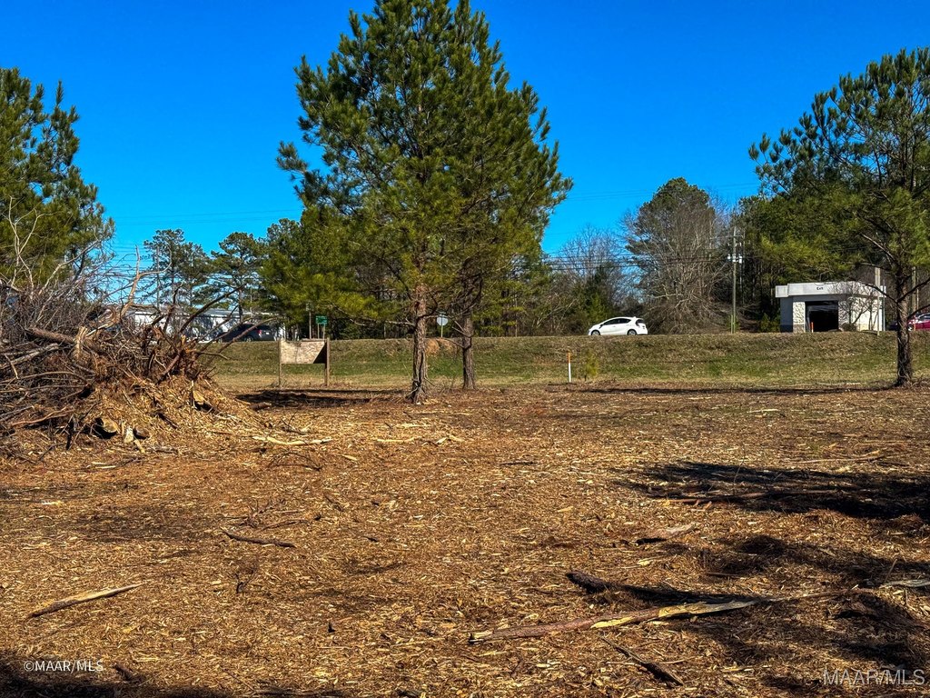 Picture 14