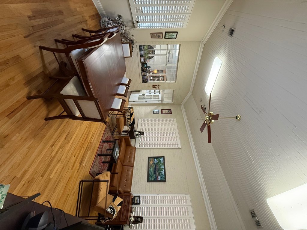 Picture 23