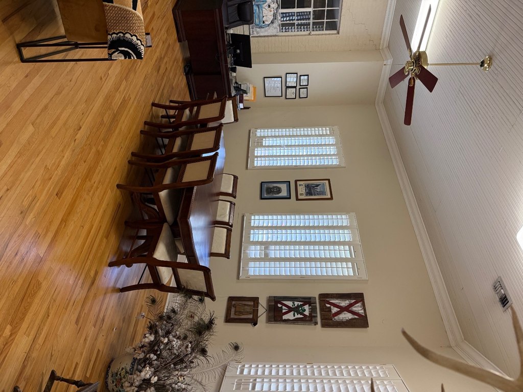 Picture 20