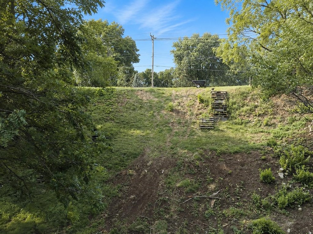 Picture 9