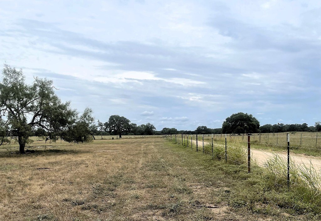 Picture 26