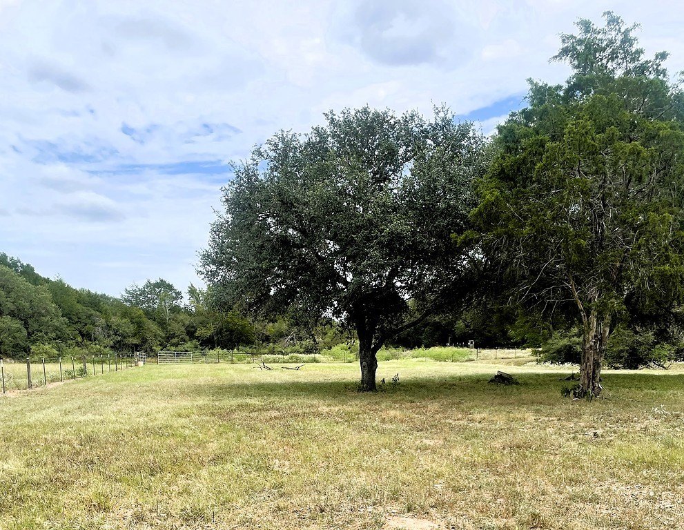 Picture 20
