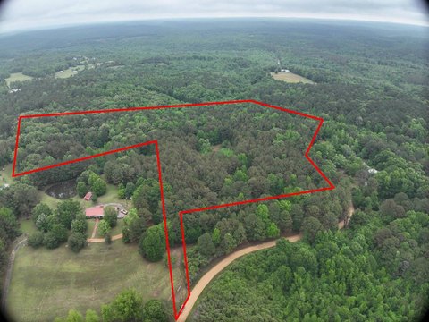 Northport Vacant Land with Pond