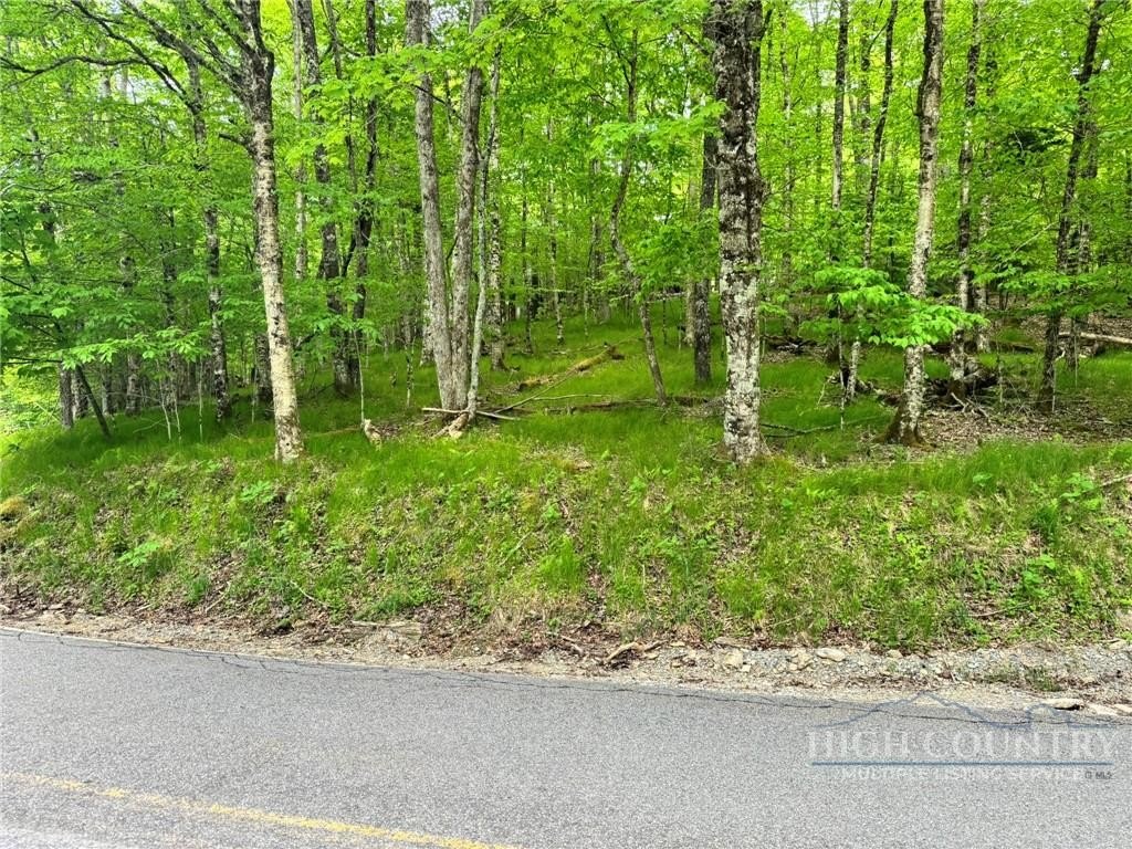Beech Mountain Land Opportunity