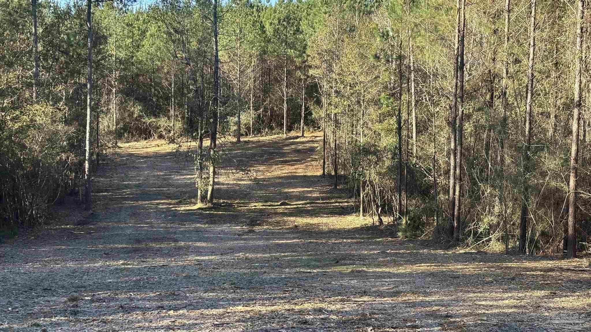 Allentown Land Parcel For Sale
