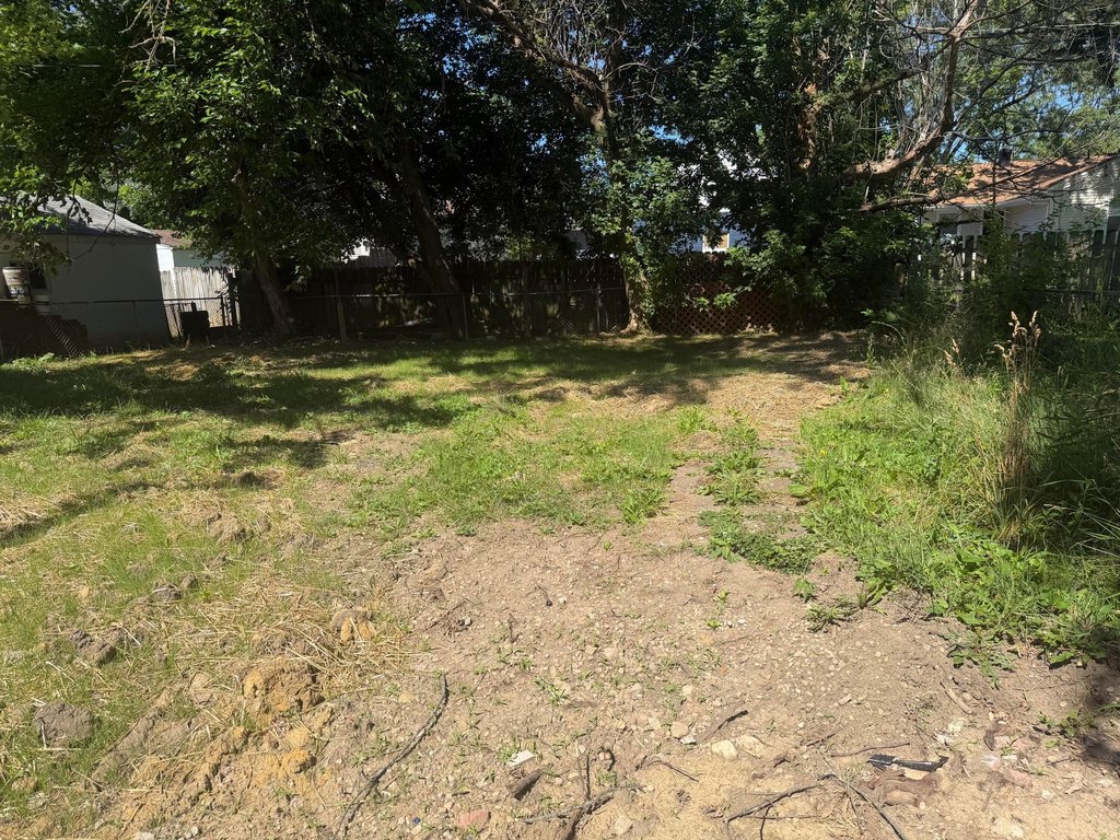 Picture 5
