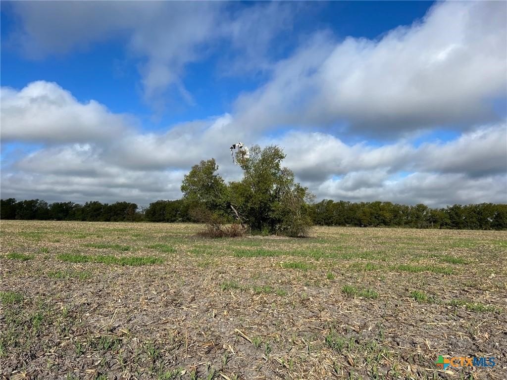 99 Acres of Farmland