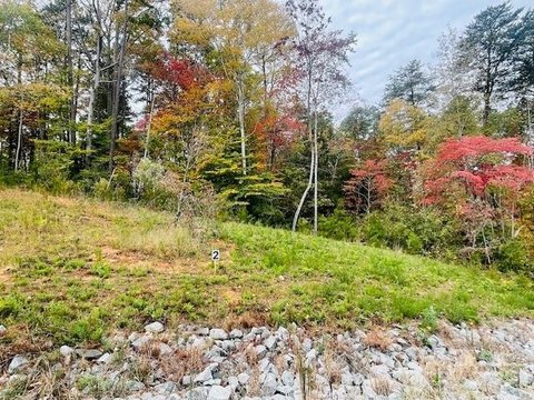 Lake Norman Wooded Lot