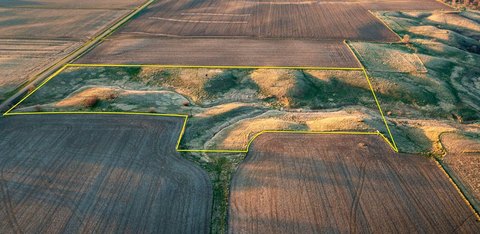 Pasture Land with Natural Creek