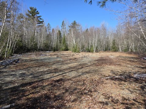 Land, Ellsworth, ME