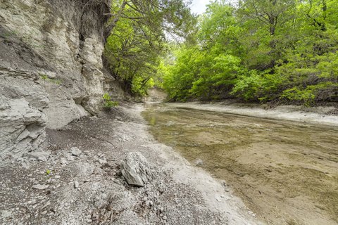 7 Acres of Wooded Land