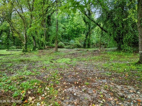 Lots & Acreage, Knoxville, TN
