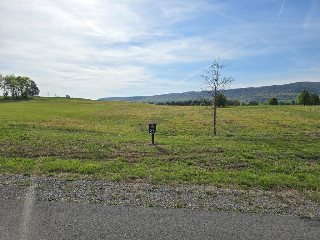 Picture 4