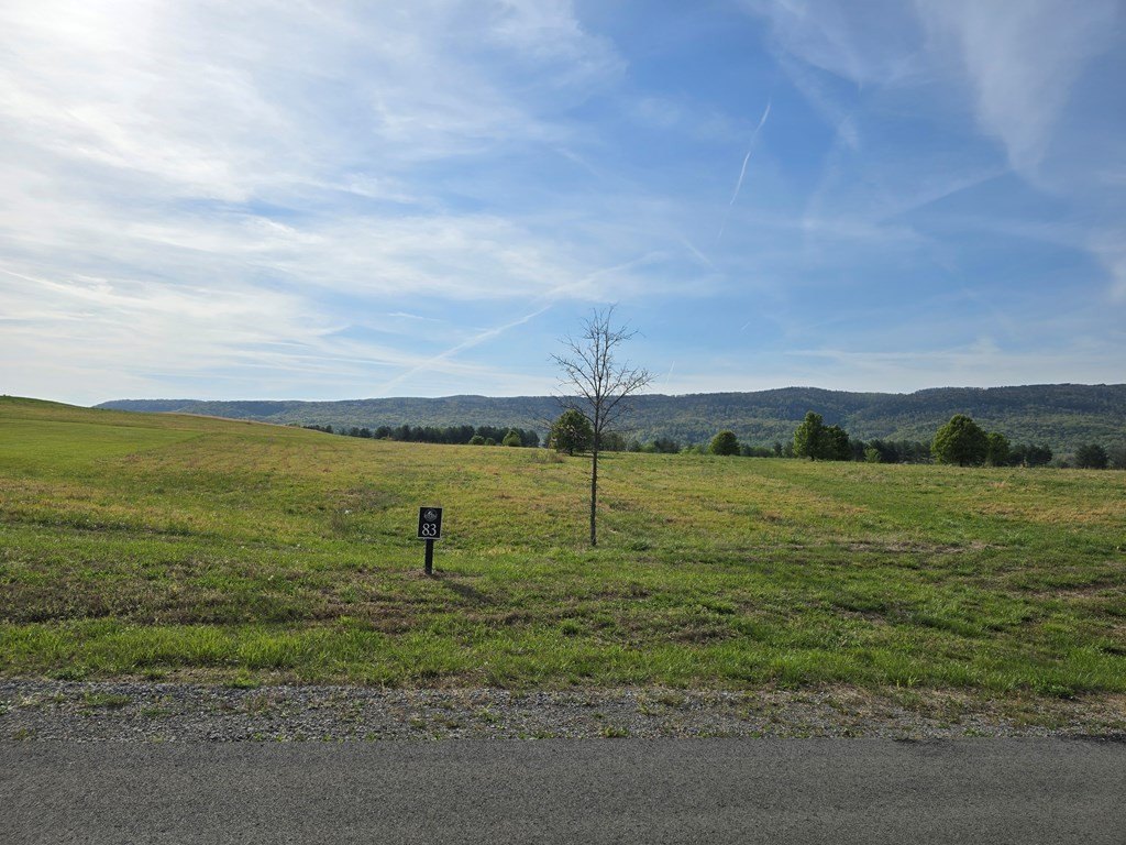 Picture 3