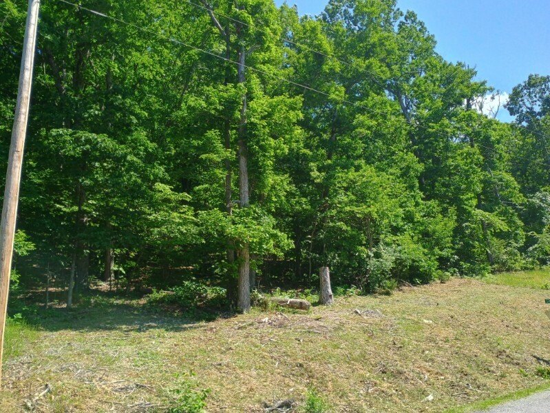 Picture 3