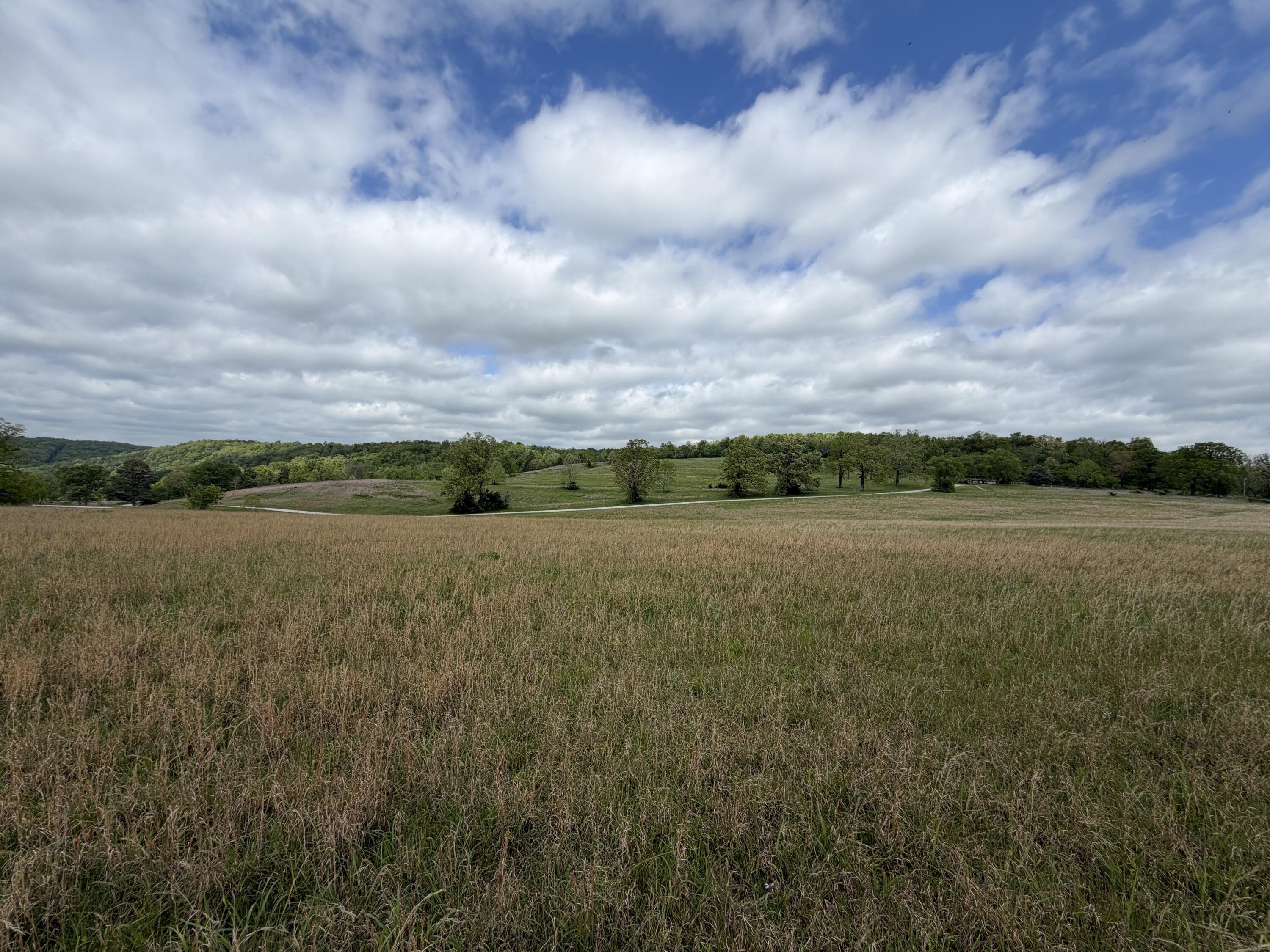 Scenic Land Overlooking North Fork