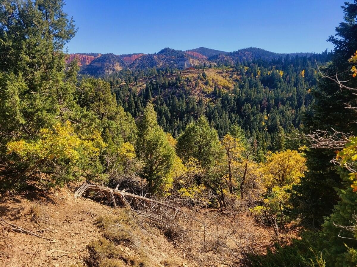 Duck Creek Building Lot
