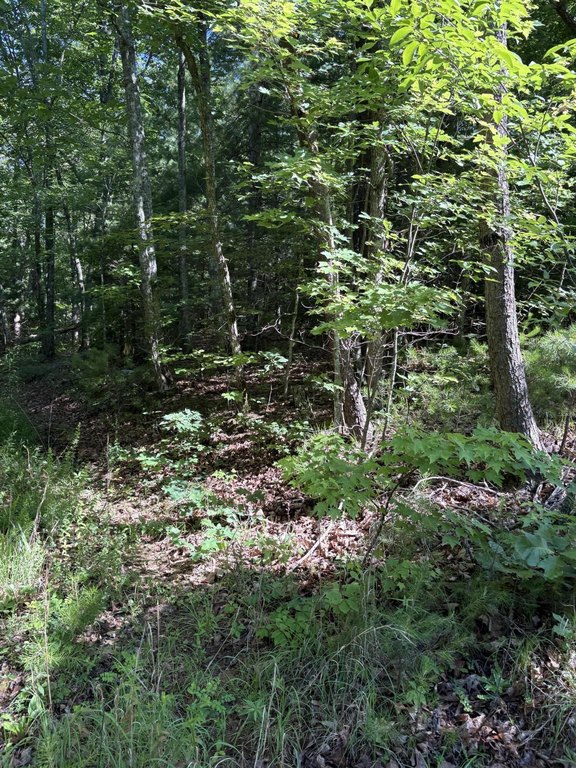 Picture 6