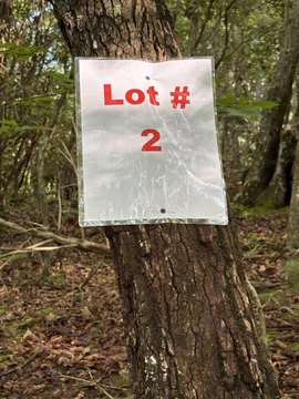 LAND - Tellico Plains, TN