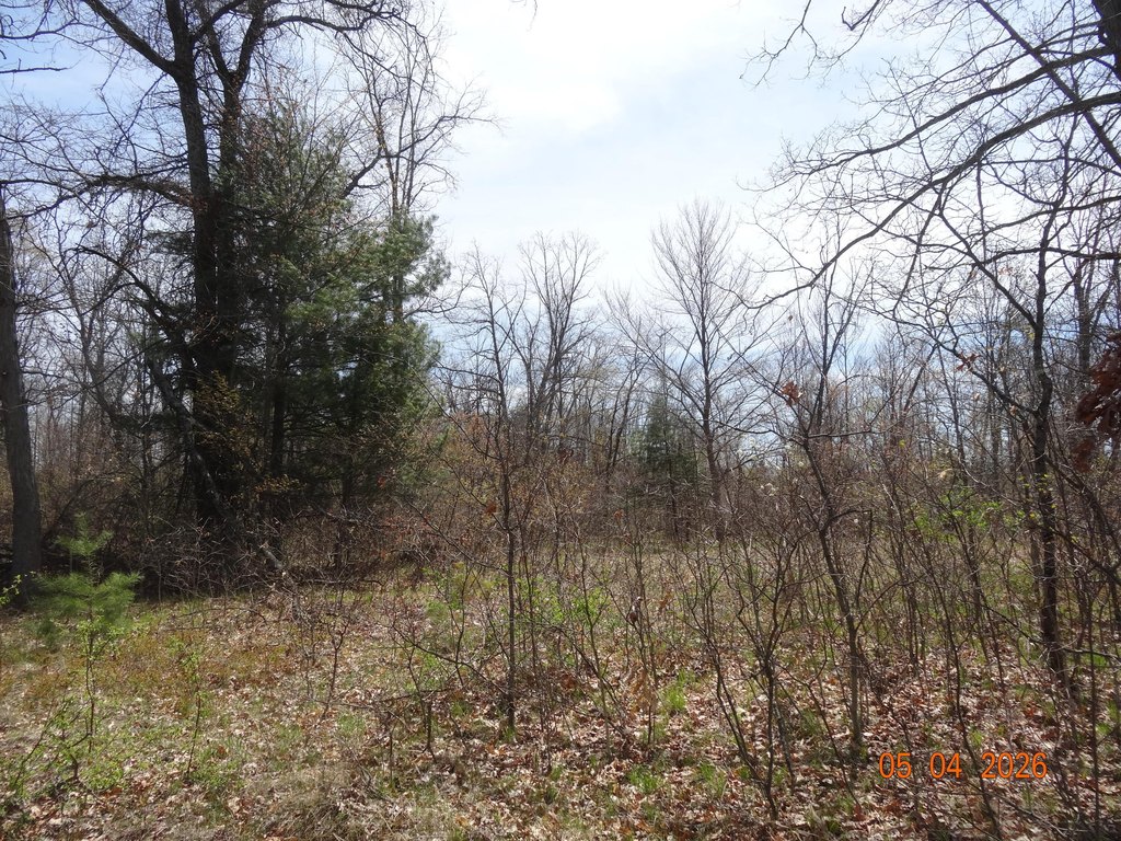 Picture 13