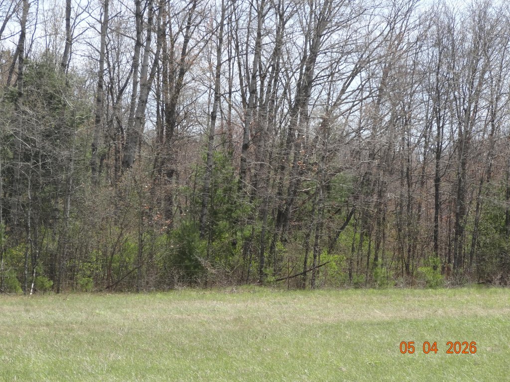 Picture 11