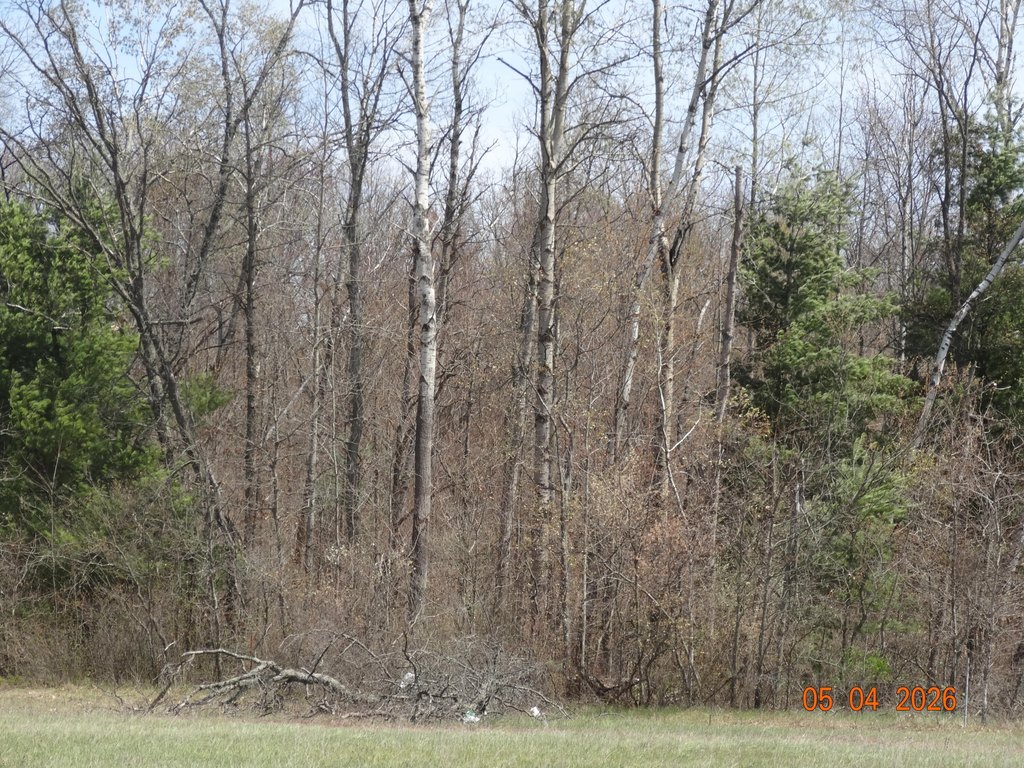 Picture 10