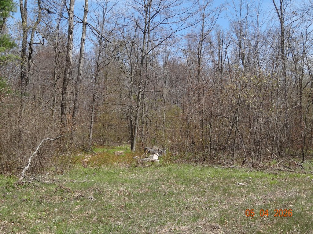 Picture 14