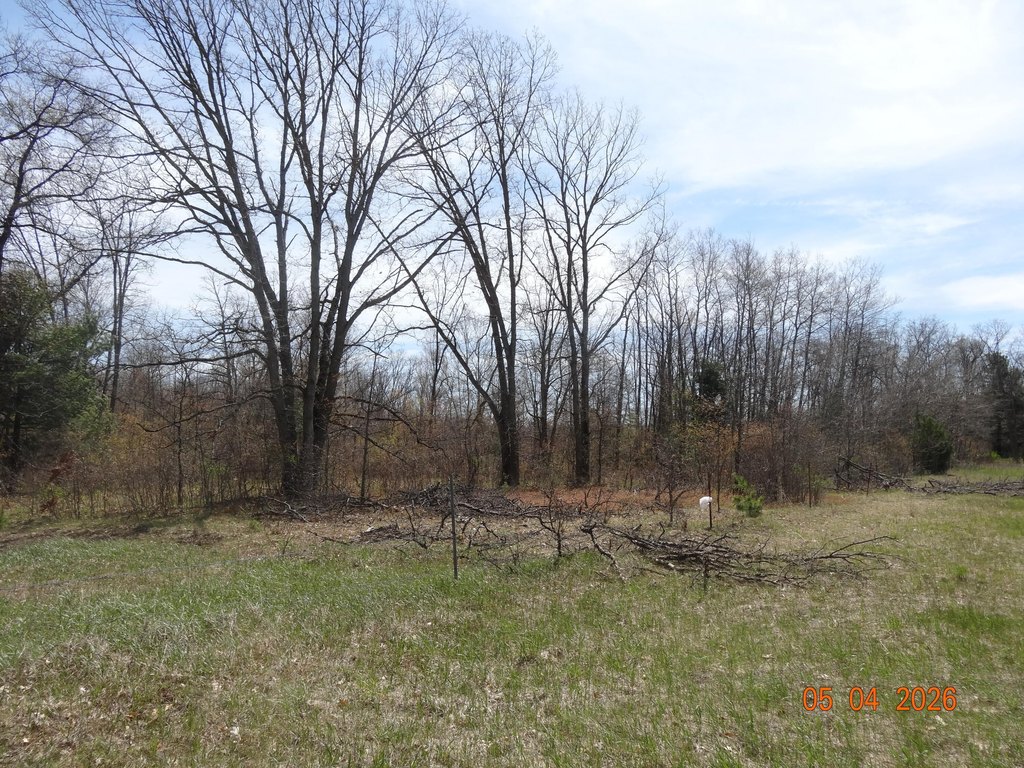 Picture 25