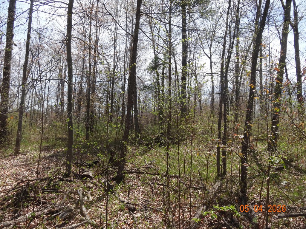 Picture 19
