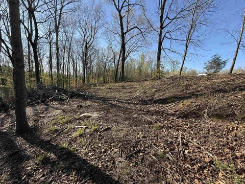 Waterfront Land on Sixmile Creek
