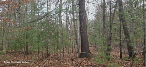 Wooded Recreational Land Parcel