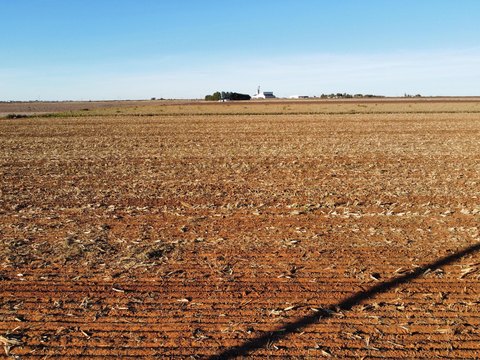 Land, Ropesville, TX