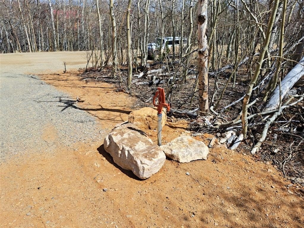 Picture 20