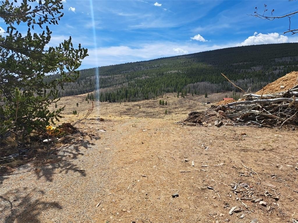 Picture 25