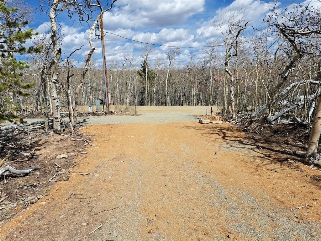 Picture 28