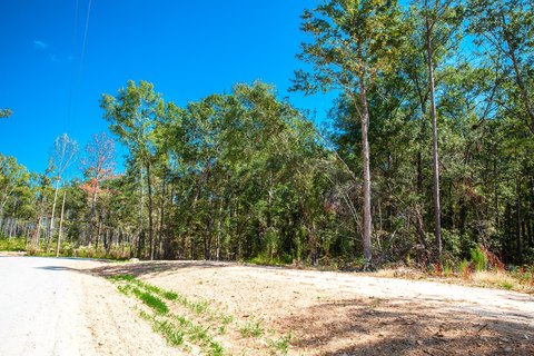 Appling, GA Acreage Lot