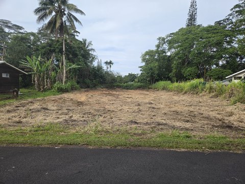 Cleared Land Parcel in Pahoa