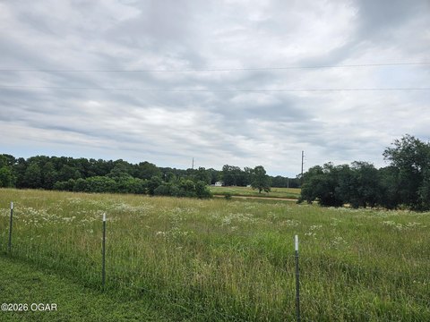 LAND - Goodman, MO