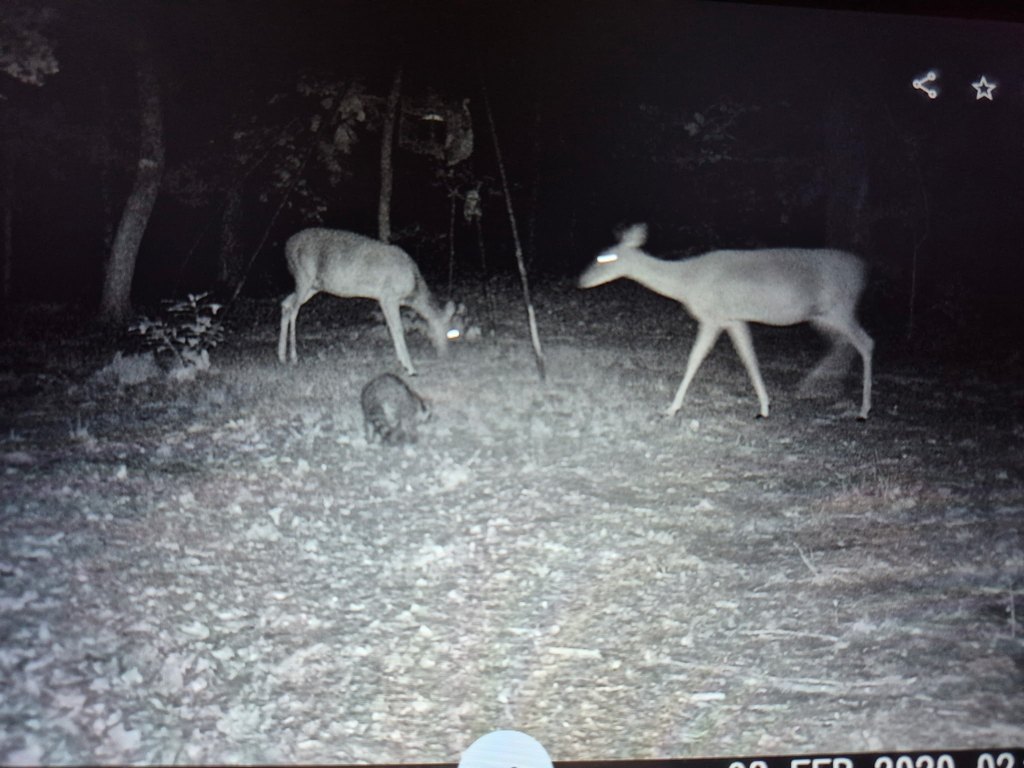 Picture 13