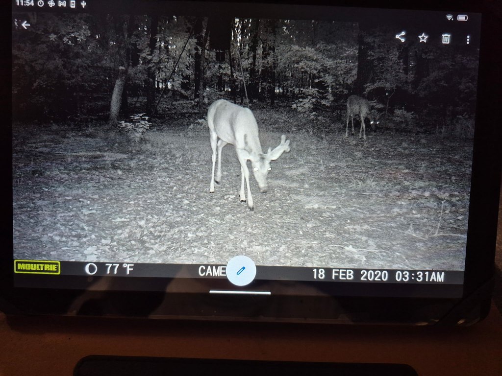 Picture 10