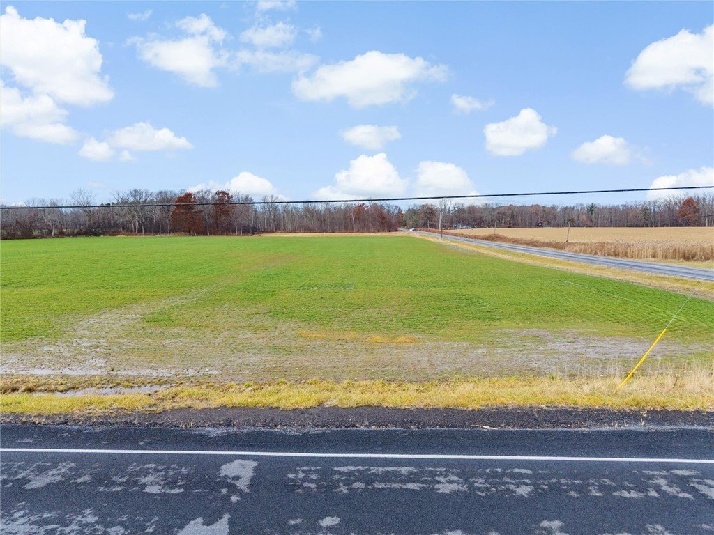 Expansive Land Parcel in Trumansburg