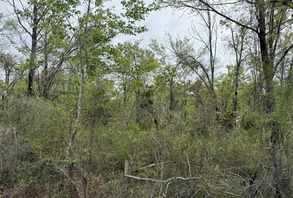 Picture 7