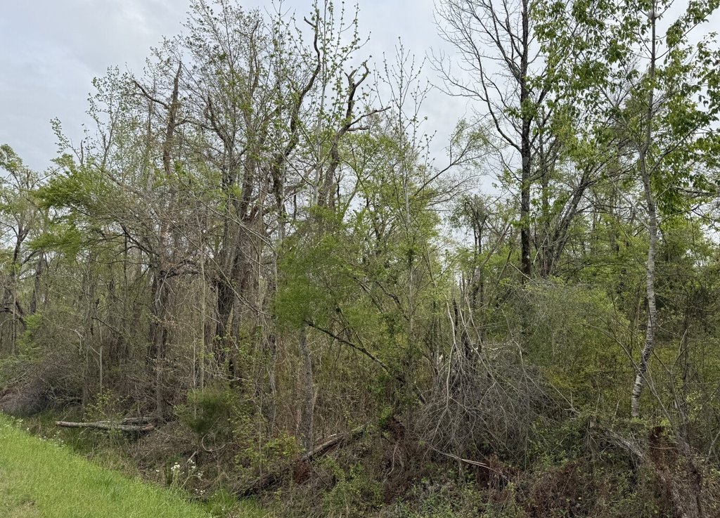 Picture 8